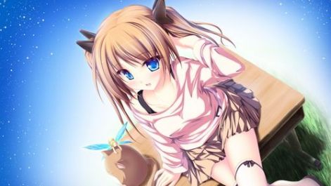 anime_girl_cat_elf_shine_16738_1366x768_large.jpg
